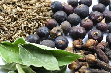 Lorbeer Kümmel Nelken und Wacholder im Detail