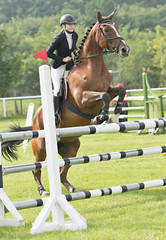 horse jumping