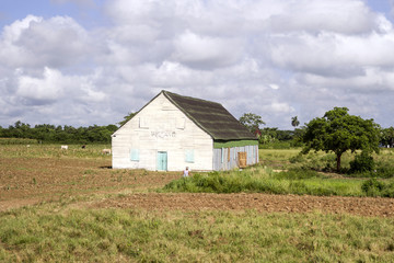 Fototapeta na wymiar Cuban Farm House