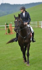 horse jumping