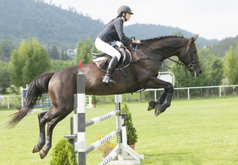 horse jumping