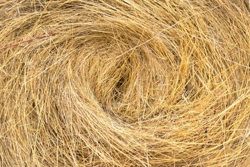 Hay bails on the field