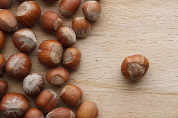 Hazelnut on wooden background