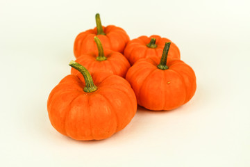 Seasonal Mini Pumpkins