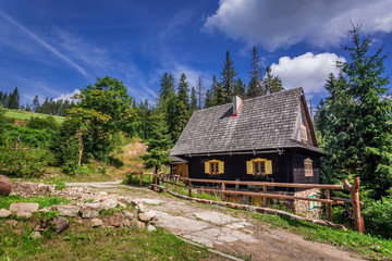 Fototapeta na wymiar Small wooden house in the mountains in summer