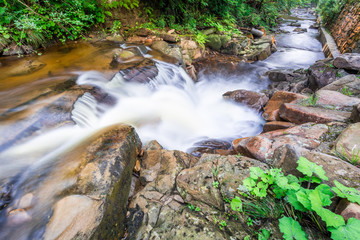 Obraz premium Rushing mountain stream in summer