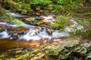 Naklejka na ściany i meble Mountain stream among the forest
