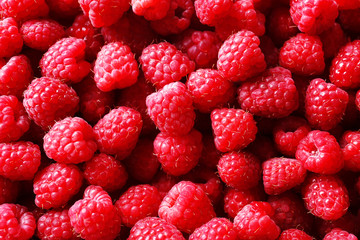 Ripe sweet raspberries close-up