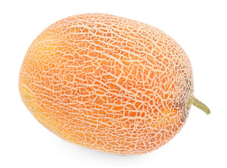Melon isolated on white