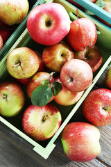 Juicy apples in box, close-up