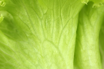 Salad close-up