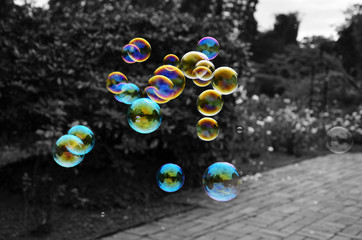 Bubbles