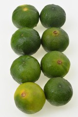 シークワーサー