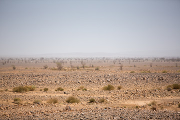 Arid and hot day in the desert of Sahara, Tata