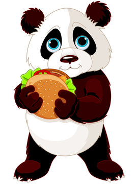Panda eats hamburger
