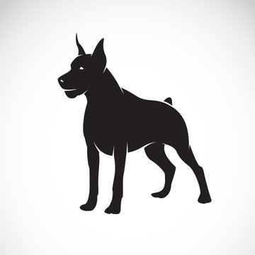Vector image of an dog (Great Dane)