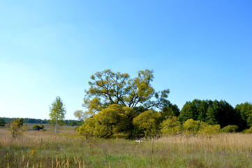 Красота родного края