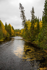 Autumn landscape. River in North Karelia