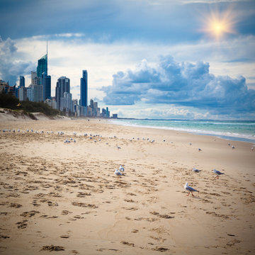 Australia's Gold Coast beach