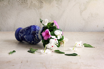flowers in vase over grunge background
