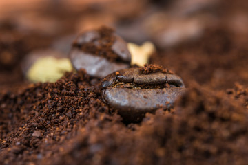 Closeup of coffee beans with roasted coffee heap.