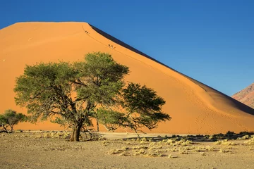 Foto op Canvas Namibia, sossusvlei, red desert © enrico113