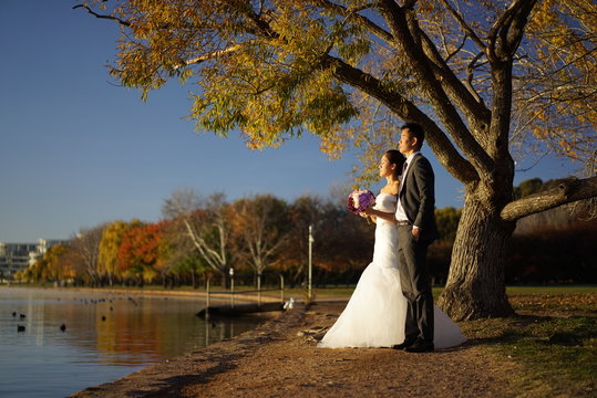 Asian Wedding couple in Nature pictures