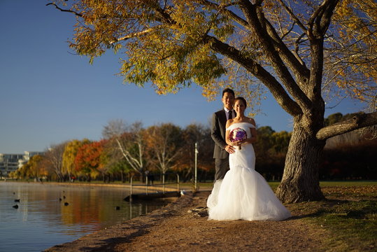 Asian Wedding couple in Nature pictures