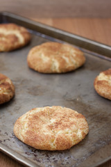 Fresh baked Snicker Doodle Cookies