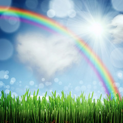 Obraz premium Spring nature background with grass and blue sky in the back