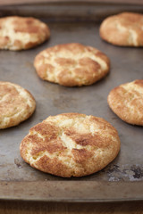 Fresh baked Snicker Doodle Cookies