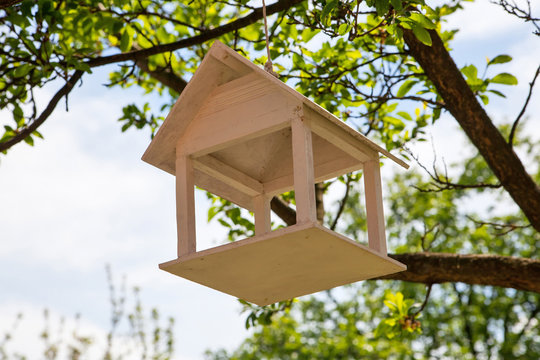 Bird house