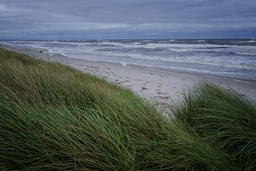 Raue See