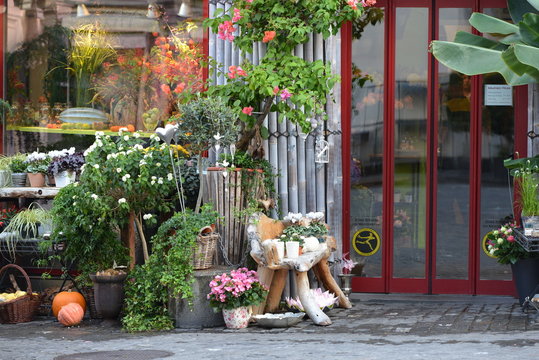 devanture d'un magasin de fleurs