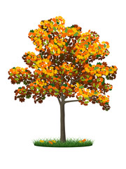 Naklejka na ściany i meble Realistic autumn tree and grass