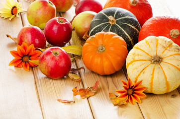 Pumpkins with red apples and  fall leaves