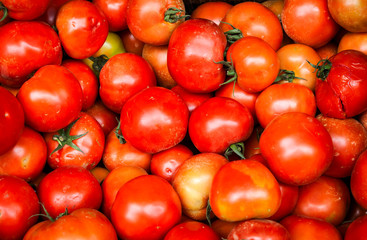 Dirty unwashed tomatoes