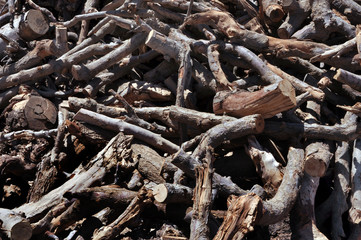 Woodpile - Firewood