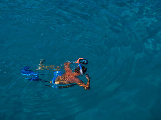 Man snorkeling in the sea