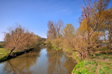 Fototapeta premium Rzeka Bzura. wieś Patoki