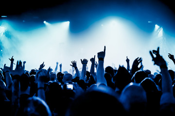 Fototapeta na wymiar Jubelnde Konzertbesucher auf Rock-Konzert