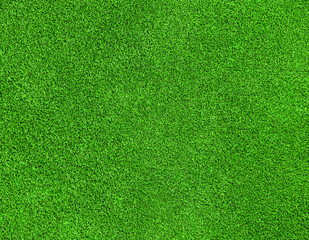 green grass texture