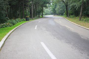 Forest Road