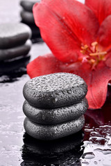 Kamienie bazaltowe z lilią w tle