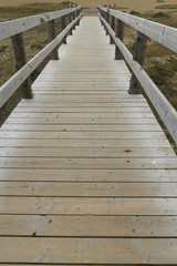Fototapeta na wymiar Wooden footbridge or boardwalk, Chesil beach.
