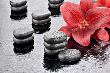 Kamienie bazaltowe z czerwonymi liliami © CUKMEN
