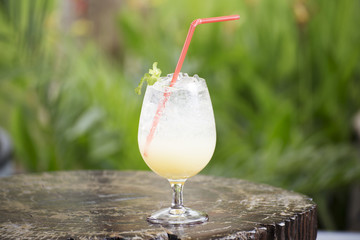 Apple Juice Soda