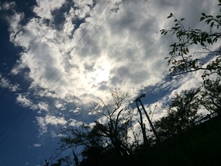 Fototapeta premium 夏の影