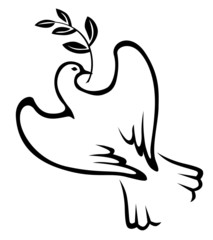 Contour dove with branch