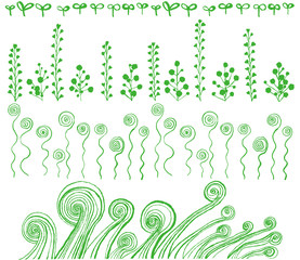エコなライン　渦巻き植物　手描きイラスト